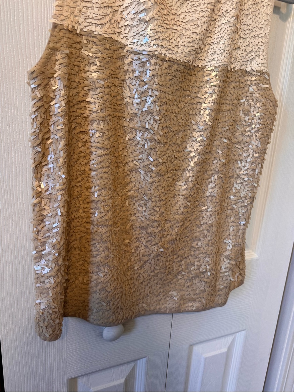 J.Crew Woman’s Size Medium Sequined Sleeveless Embellished Top Champagne - Picture 9 of 13